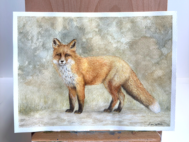 Fox - Watercolor