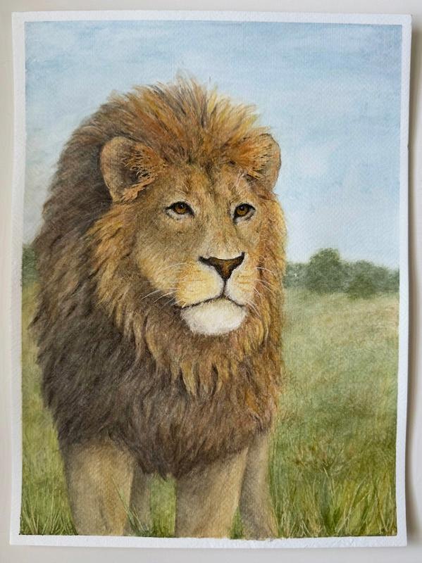Lion Portrait - Watercolor
