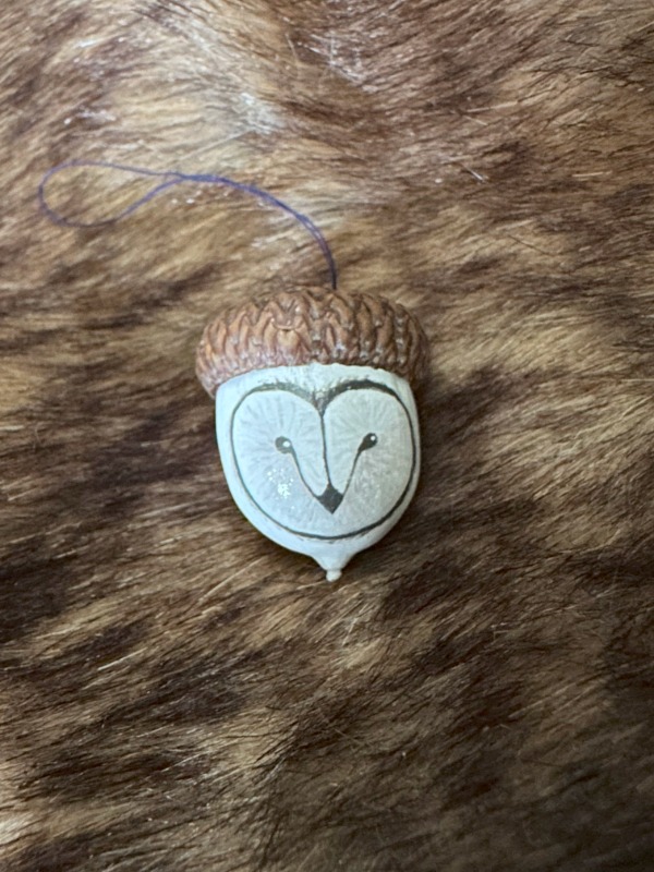 Owl Portrait on Acorn