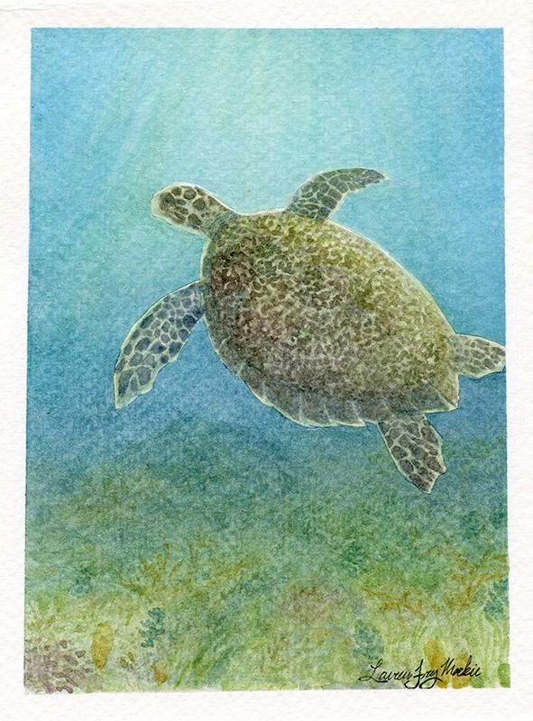 Sea Turtle Guide
